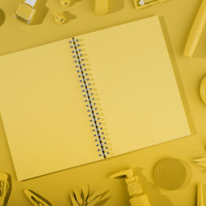 Agenda
